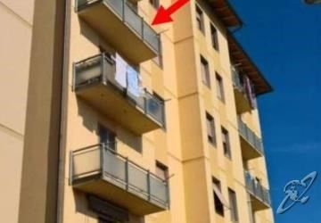 Eurohome Comfort Apartment シーニャ エクステリア 写真
